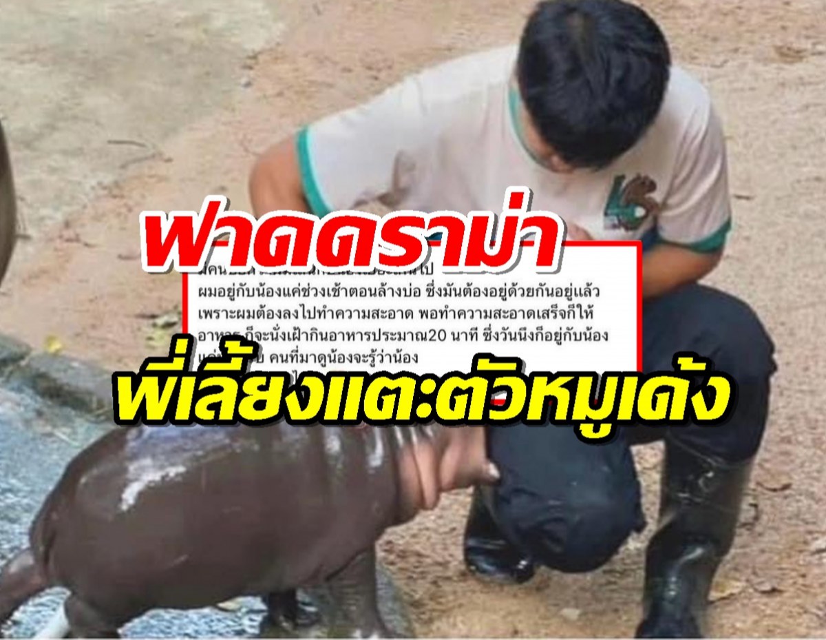 แห่กดไลก์เมนต์นี้โคตรโดน ปมดราม่าแฟนคลับหมูเด้ง เรียกร้องเปลี่ยนพี่เลี้ยง?