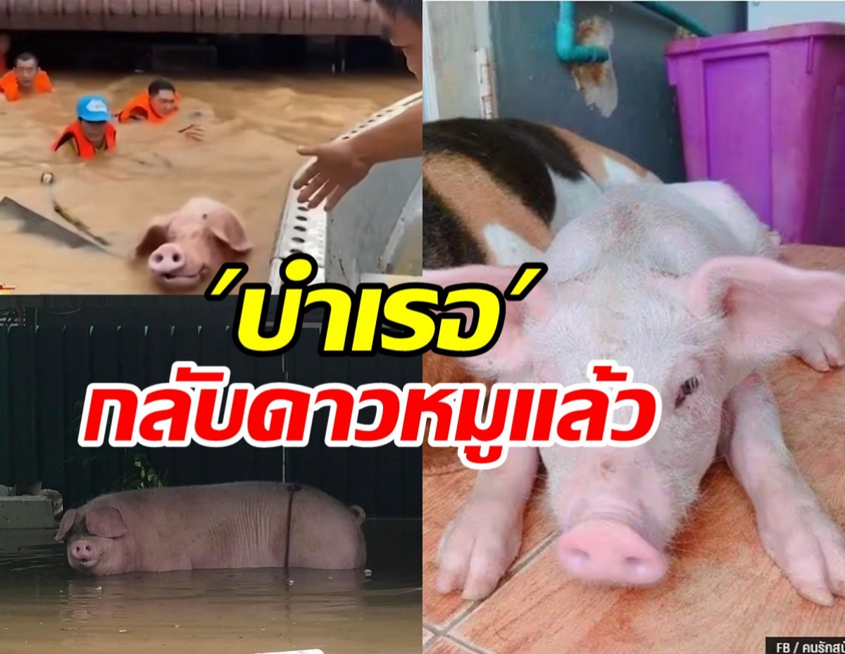  ลาก่อน บำเรอ น้ำท่วมครั้งนี้กลับดาวหมูแล้ว