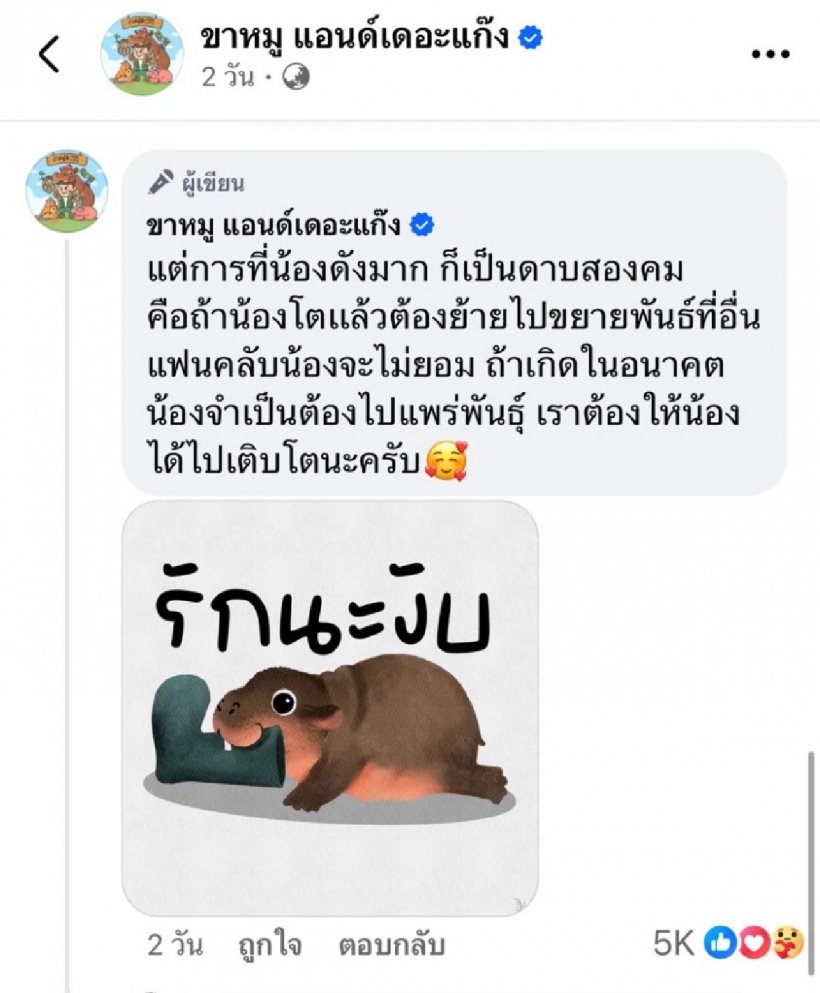 เปิดสาเหตุ หมูเด้ง ส่อแววต้องย้ายไปที่อื่น FCถึงกับใจหาย