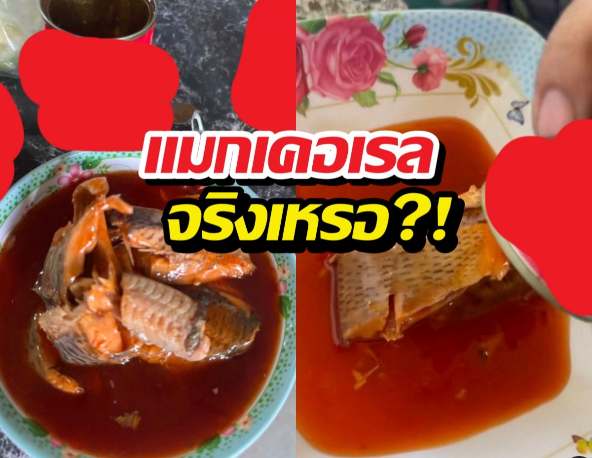 คลิปหลุดปลาหน้าแปลก ชาวเน็ตแห่สงสัย "คางดำ" บุกกระป๋อง?