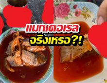 คลิปหลุดปลาหน้าแปลก ชาวเน็ตแห่สงสัย "คางดำ" บุกกระป๋อง?