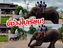 นั่งรถไปโรงเรียนมันธรรมดา ขี่ช้างไปดีกว่าเท่ห์ดี