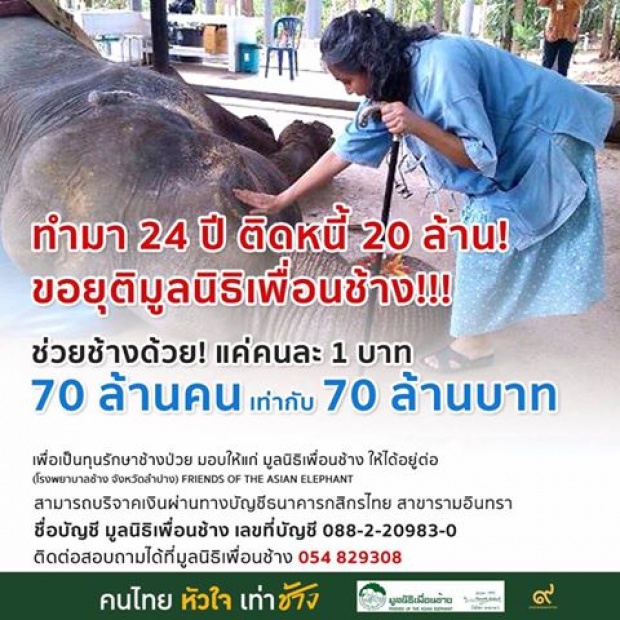 ช่วยกันแชร์ “คนละ 1 บาท 70 ล้านคน” ช่วยมูลนิธิเพื่อนช้าง หลังประกาศปิด เหตุหนี้ท่วม 20 ล้าน